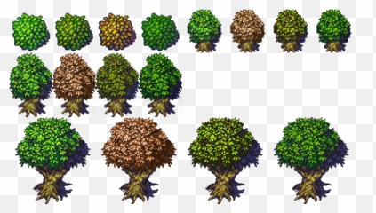 Free transparent tree top down png images, page 1 - pngaaa.com