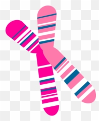 Xtraordinary Joy Png