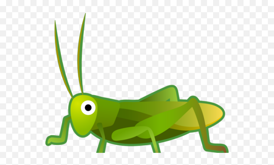 Grasshopper Png - Grasshopper Clipart Transparent Background,Grasshopper Png