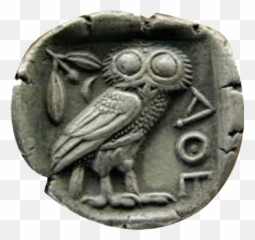 Transparent - Owl Philosophy Colorado State University Owl Of Minerva Png,Owl Transparent