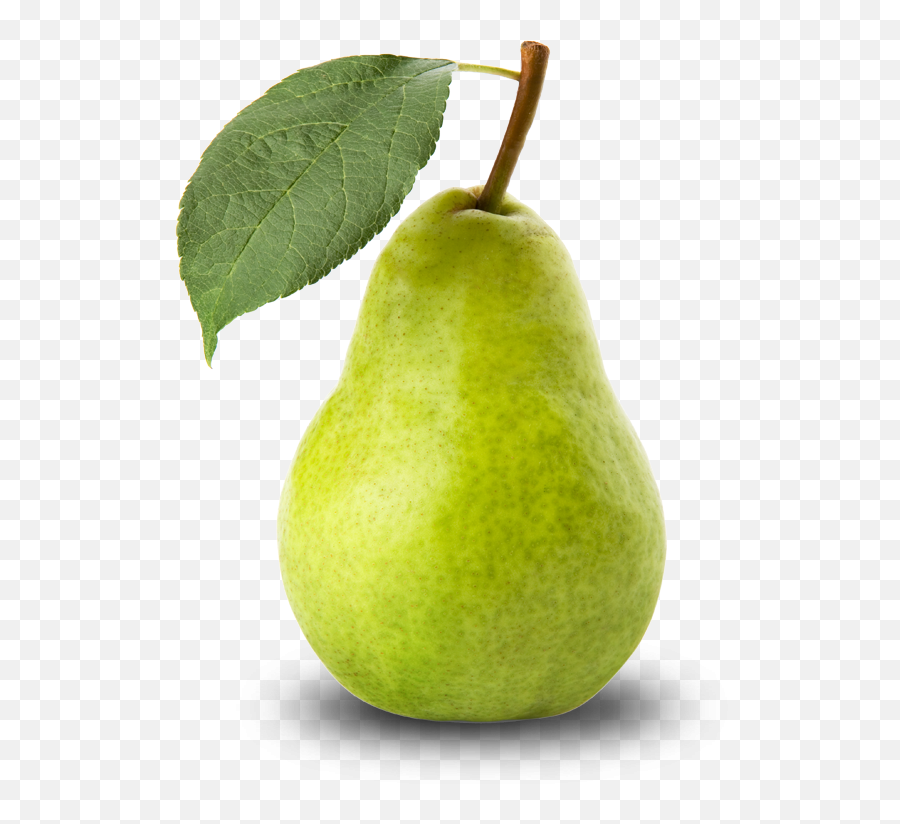 Download Free Icons Png - Pear Png,Pear Png