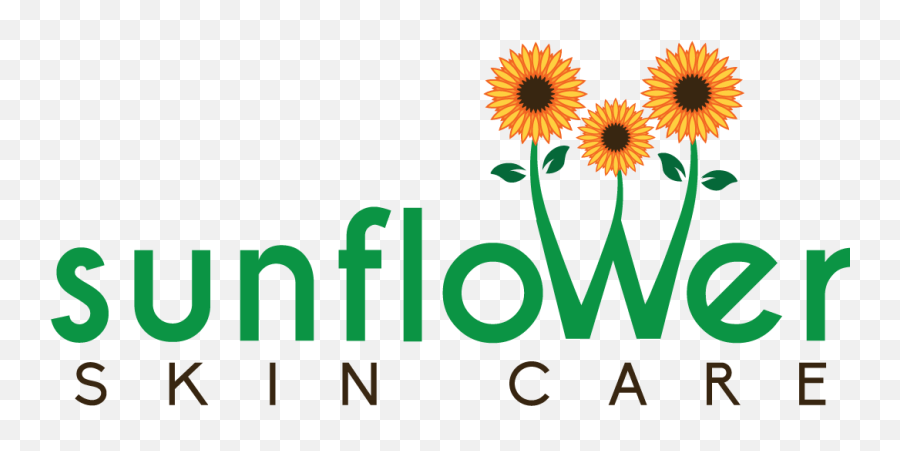 Modern Professional Business Logo Design For Iu0027d Like The - Sunflower Png,Sunflower Logo
