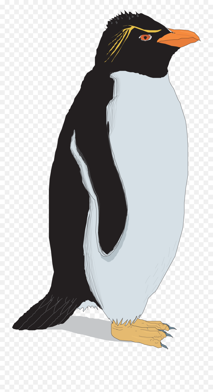 Rockhopper Penguin Clip Art - Vector Hand Painted Penguins Rockhopper Penguin Clip Art Png,Penguin Png