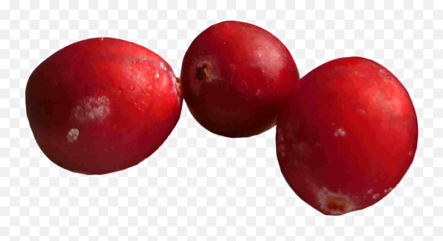 Cranberries Png Images Transparent - Cranberries Transparent Background,Cranberry Png