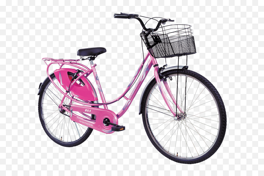 ladies cycle image