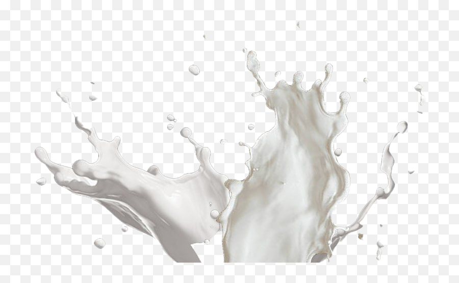 Vector Milk Splash - Milk Splash Milk Png,Milk Splash Png