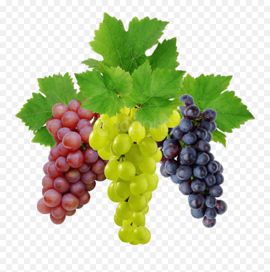 Grape Png Image Download Free Picture - Grapes Png,Grape Png.