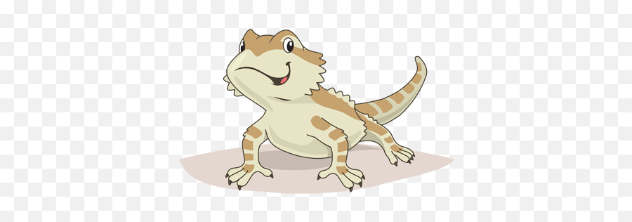 Bearded Dragons - Cartoon Png,Bearded Dragon Png