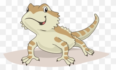 Bearded Dragons - Cartoon png