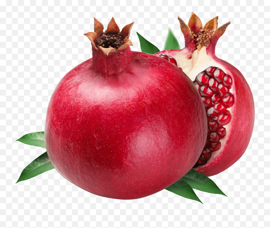 Pomegranate Png Image For Free Download - Pomegranate Images Hd Png,Shrub Transparent Background