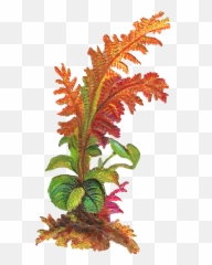 The Second Digital Leaves Download Is - Plants png