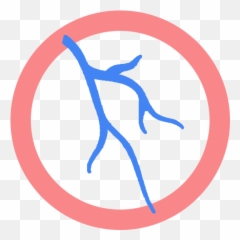 Vascular Treatment U2014 Icore Png Veins
