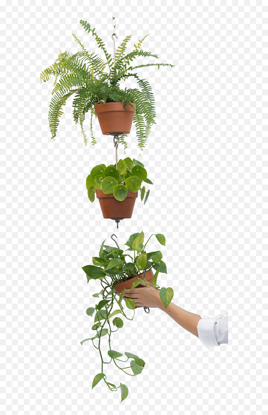 Home - Skypots Flowerpot Png,Potted Plant Png