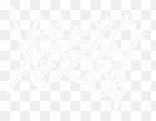 T Png Darkthrone Logo