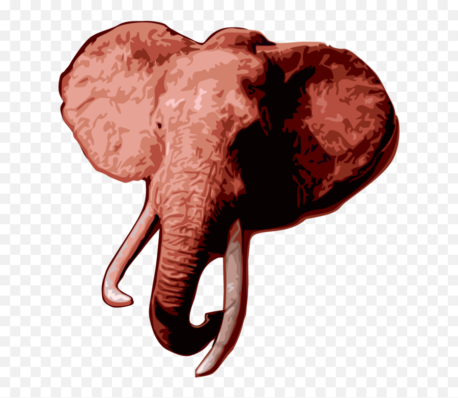 African Elephant Head - Png,Elephant Head Png