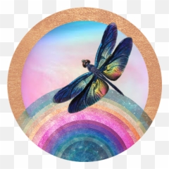 Events U2014 Scarlett De La Torre - Dragonfly png