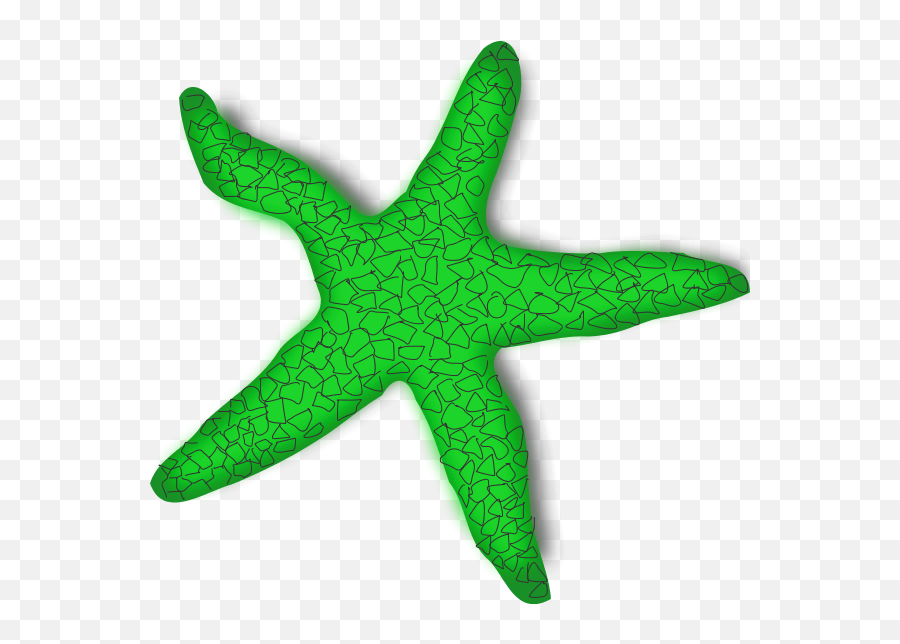 Download - Starfishpngtransparentimagestransparent Starfish Clip Art Png,Starfish Transparent
