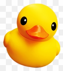Png Images Pngs Rubber Duck Ducks Plastic - Ducks Png