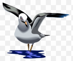 Seagull Gull Sea - Clipart Gabbiano Png,Seagull Png