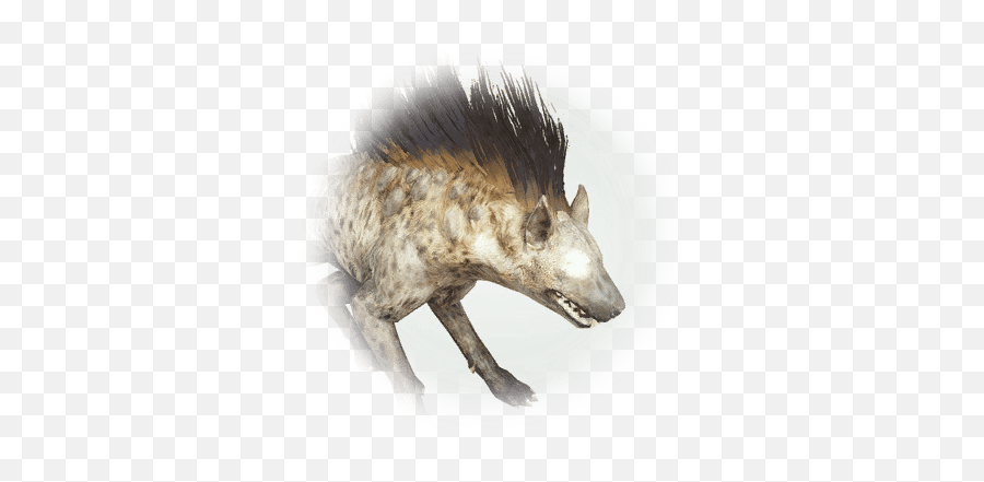 Spotted Hyena - Bdo Codex Spotted Hyena Png,Hyena Png