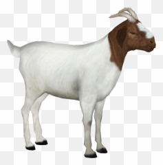 Goat Png Images Transparent Background Play - Goat Png,Goat Icon Png