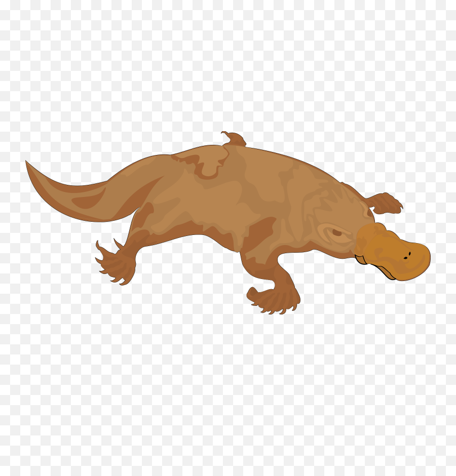 Platypus Brown Bill - Transparent Platypus Silhouette Png,Platypus Png