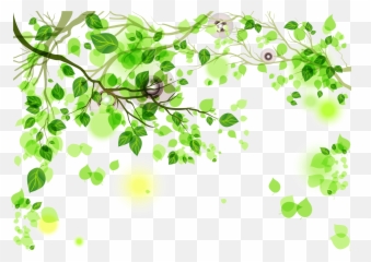 Green - background png download 22931621 Free Leaves Background