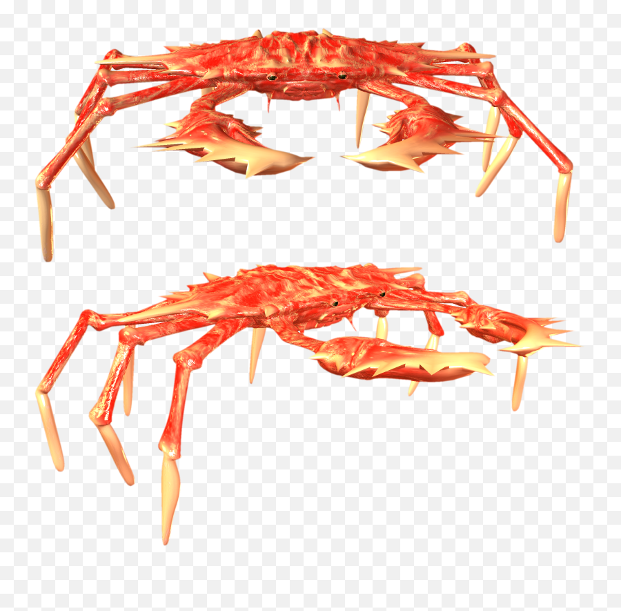 Crab Png - Crabs,Crab Transparent Background