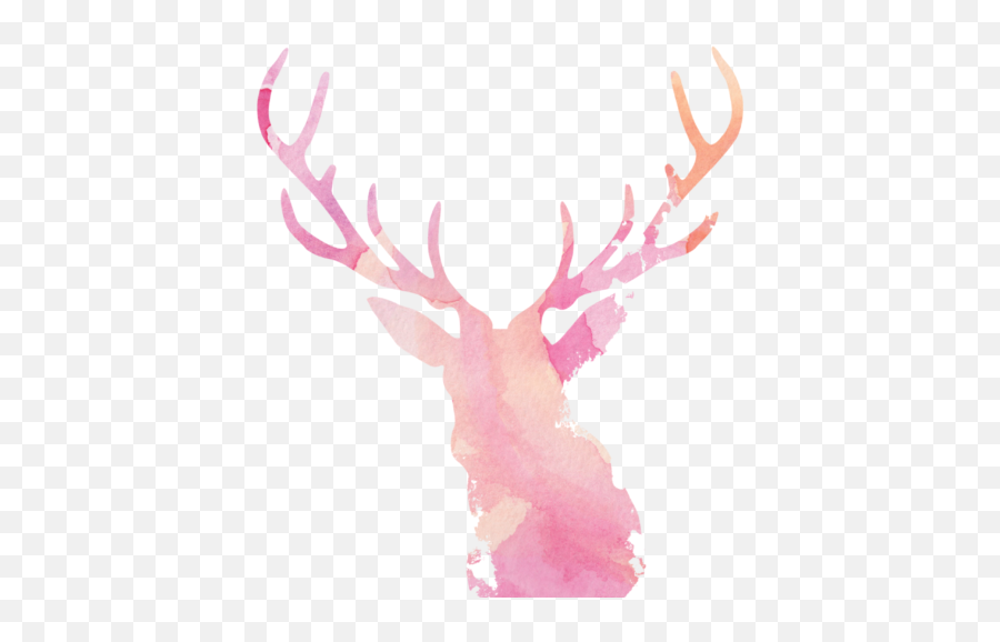 Portfolio U2013 Hello Deer Graphic U0026 Web Design - Elk Png,Deer Png