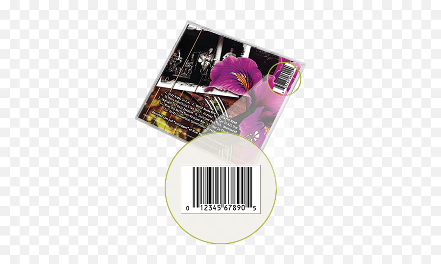 Upc Barcode For Your Cd Or Digital - Pansy Png,Upc Code Png