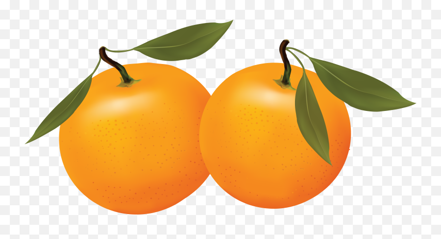 Orange Png Image Free Download - Clip Art Oranges,Fruit Tree Png