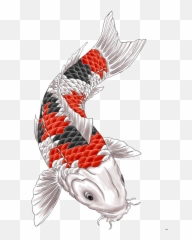 Download Butterfly Koi Artist Sleeve Tattoo Free Hd Image - Colored Designs png