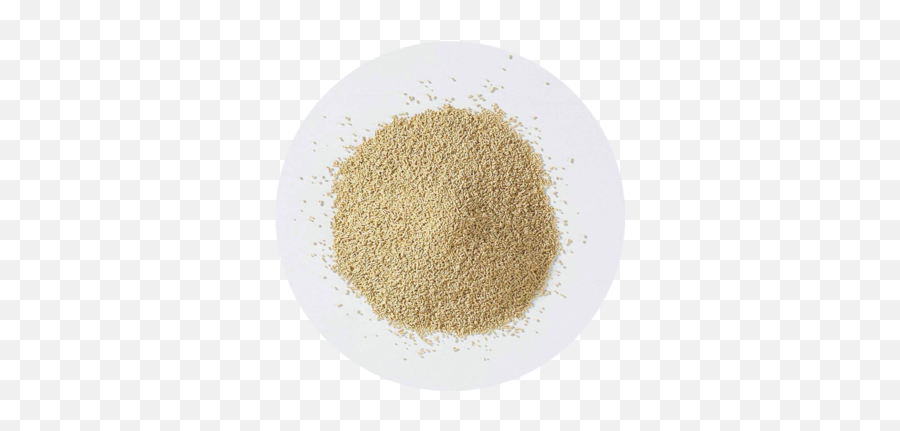 Instant Yeast Dry Active - Dried Yeast Png,Yeast Png