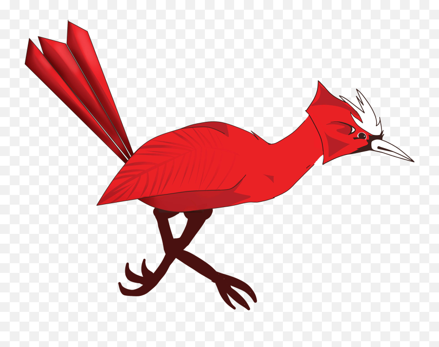 Road Runner Png - Illustration,Road Runner Png