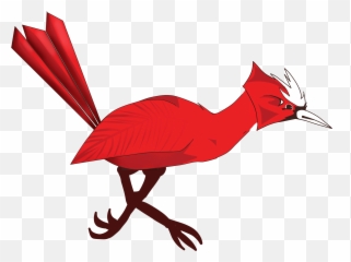 Road Runner Png - Illustration,Road Runner Png