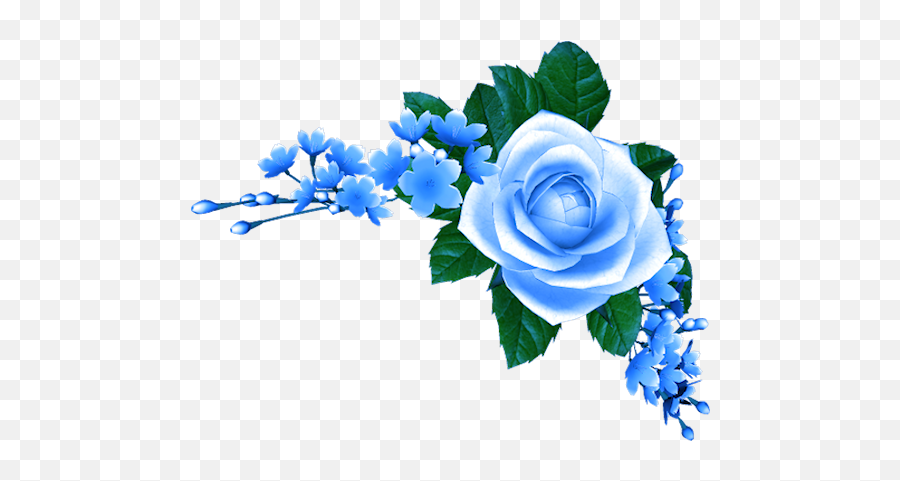 Blue, Flower, Blooming - Real Transparent Blue Flower Png, Png  Download(752x720) - PngFind | Blue flower png, Anime flower, Flower clipart