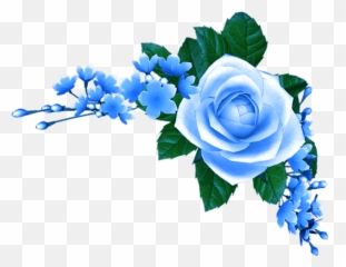 Download Hd To Heaven And Hell - Anime Blue Flower Png,Blue Rose Png