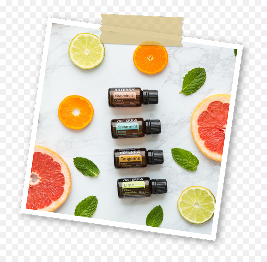 Doterra Essential Oils - Harbourside Markets Bitter Orange Png,Doterra Png