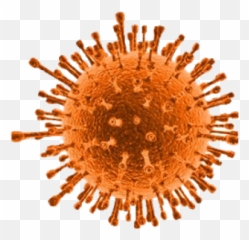 Png Virus - Orange