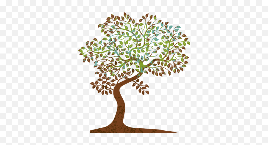 Graphic Tree Png Image - Physical Therapy Ethics,Tree Graphic Png
