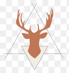 Deer Antler Border Png U0026 Free Borderpng - Head Clipart