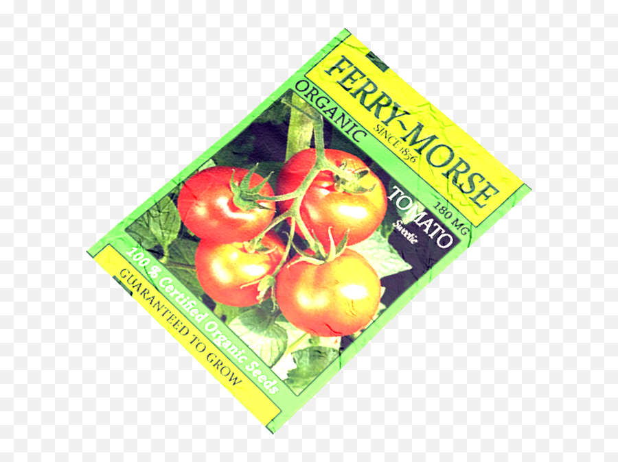 Tomato Seeds - Dayz Wiki Food Png,Tomato Plant Png