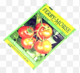 Tomato Seeds - Dayz Wiki Food Png,Tomato Plant Png