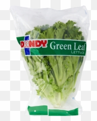 Duda Farm Fresh Foods Products Lettuce - Superfood Png,Romaine Lettuce Png