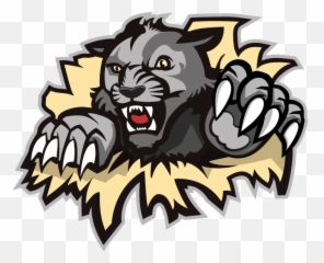 Download Wildcat Clipart West Shore - West Shore Wildcats Westshore Wildcats Png,Wildcat Png
