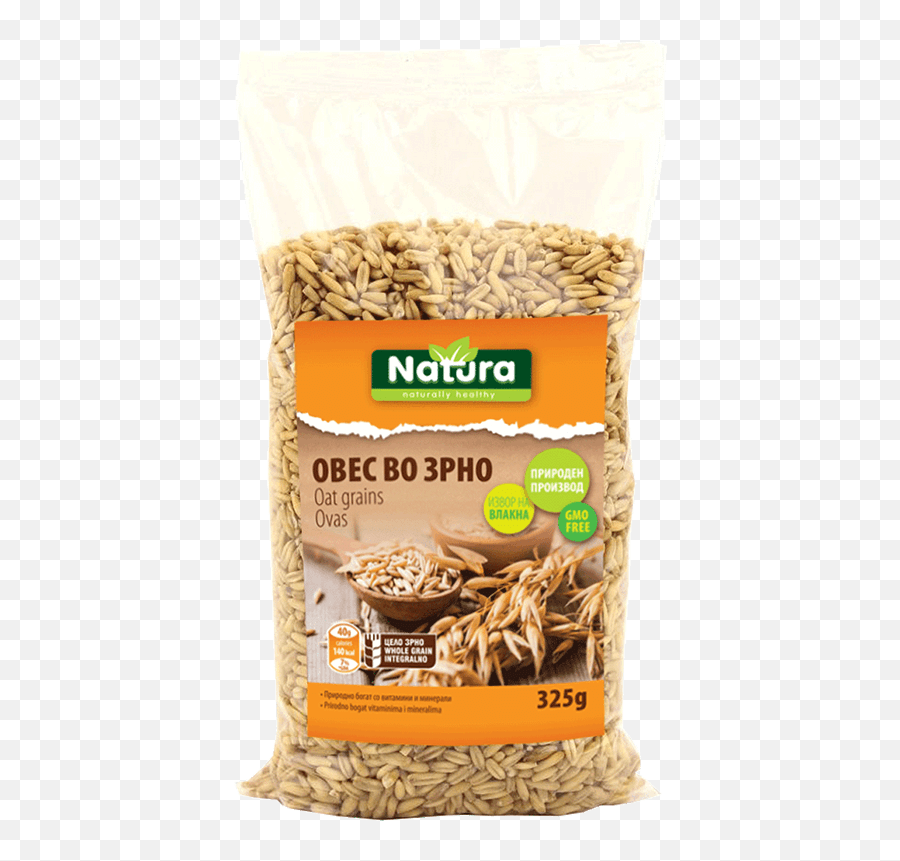 Oat Grains Funny Exam Answers Png