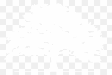 Live Oak Education Foundation - Live Oak Silhouette Transparent Png,Live Oak Png