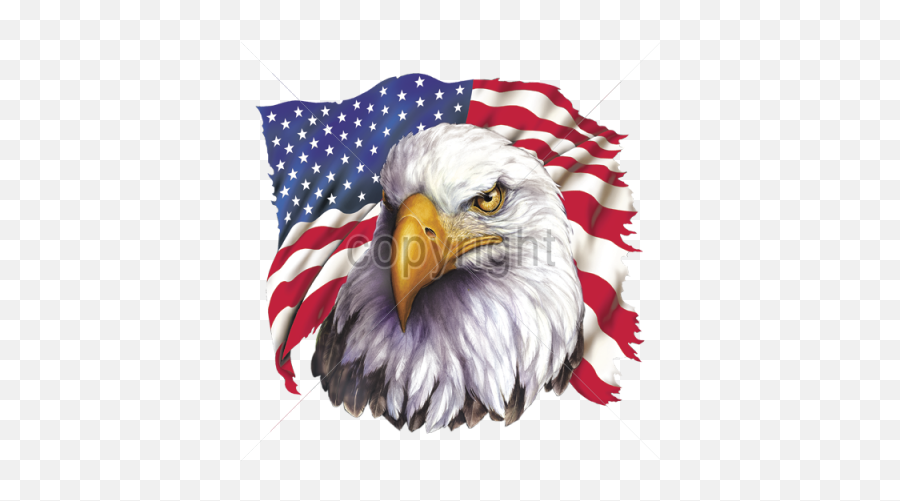 American Eagle Flag Png - Liberal Gay Aclu Professor,American Flag Eagle Png