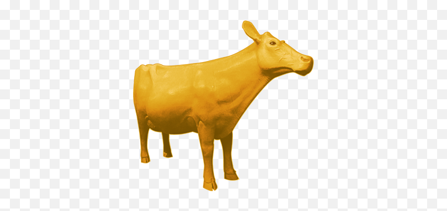 The Golden Icon Of Iowa - Cow Png,University Iowa Icon