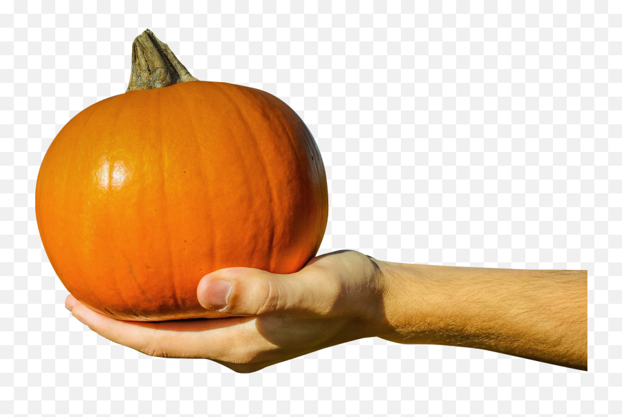 Hand Holding Orange Pumpkin Png Image - Pngpix Holding Pumpkin Png,Pumpkin Png Transparent